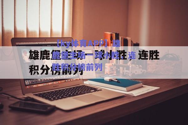 【ky体育APP】雄鹿堡主场一球小胜，连胜积分榜前列  第1张