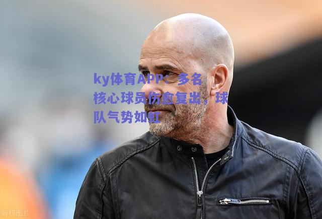 ky体育APP：多名核心球员伤愈复出，球队气势如虹  第1张